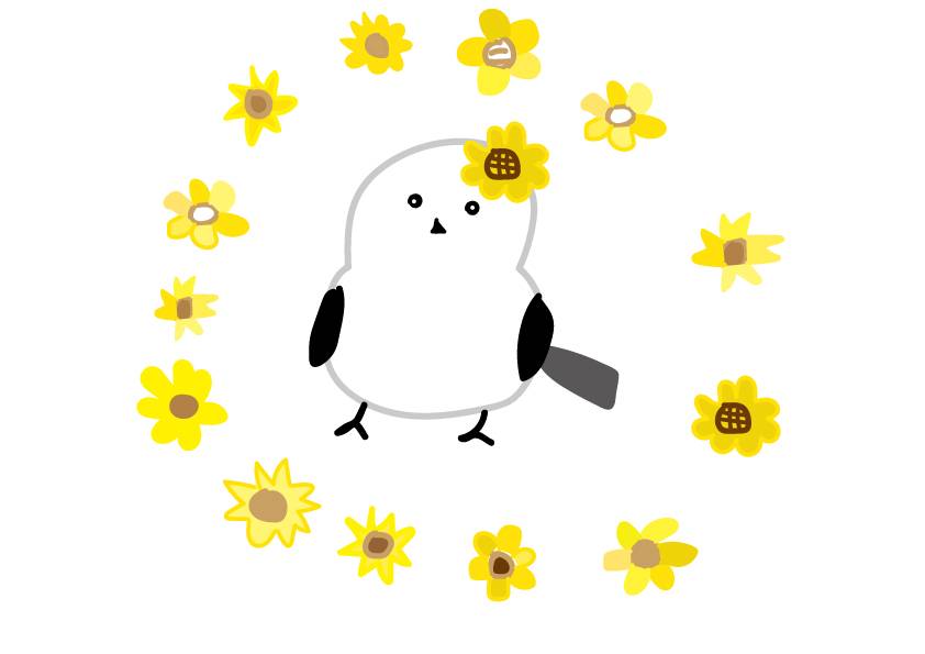 シマエナガ