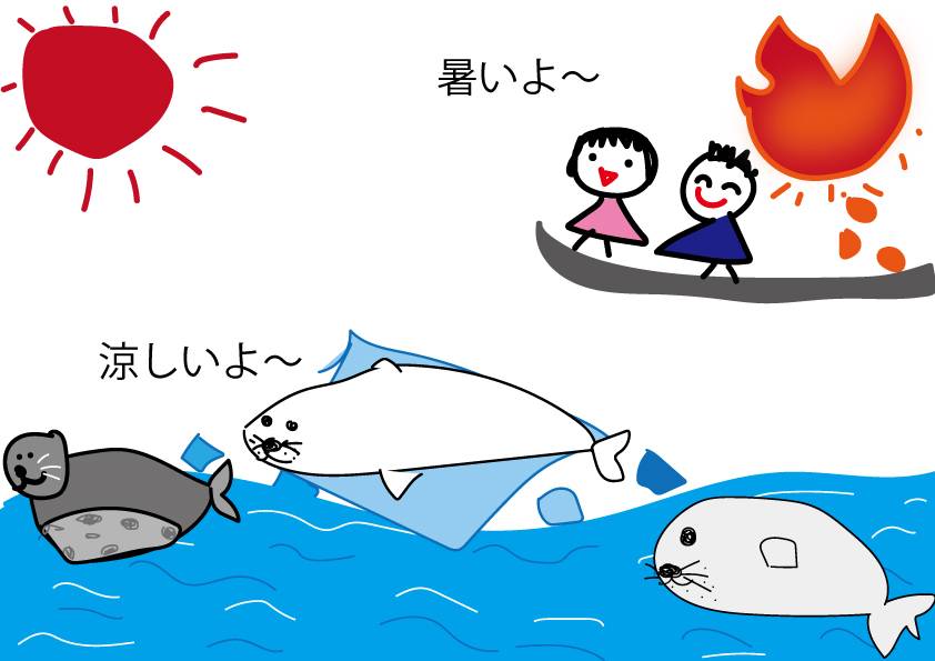 アザラシ