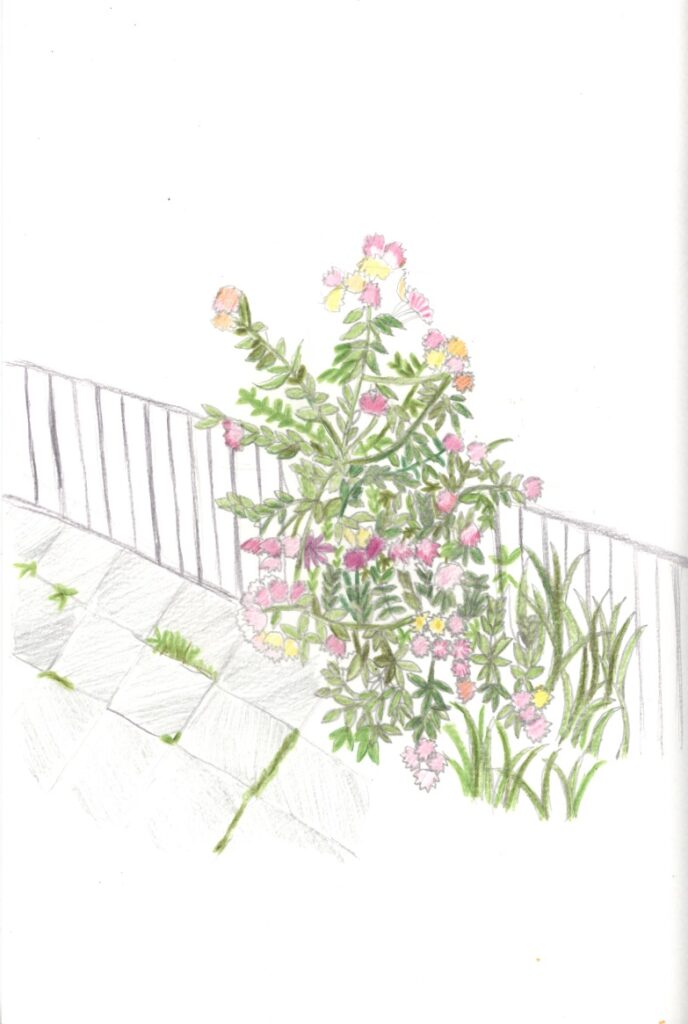 作品