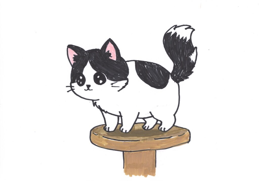てっぺんとったどーのネコ様