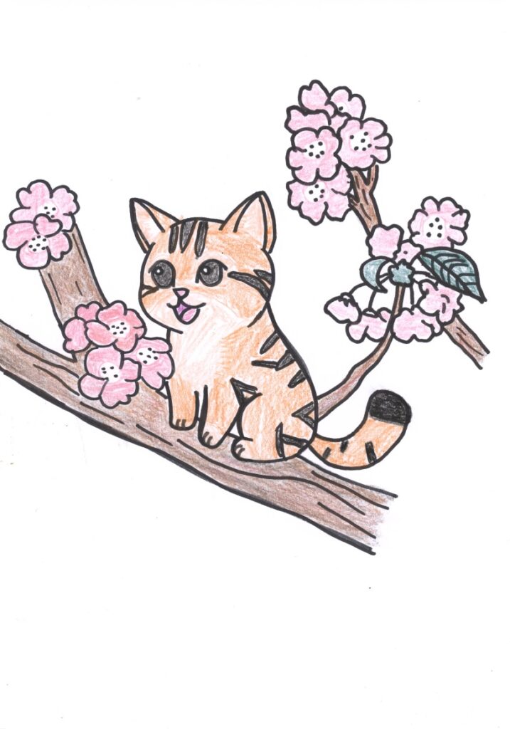サクラとネコ