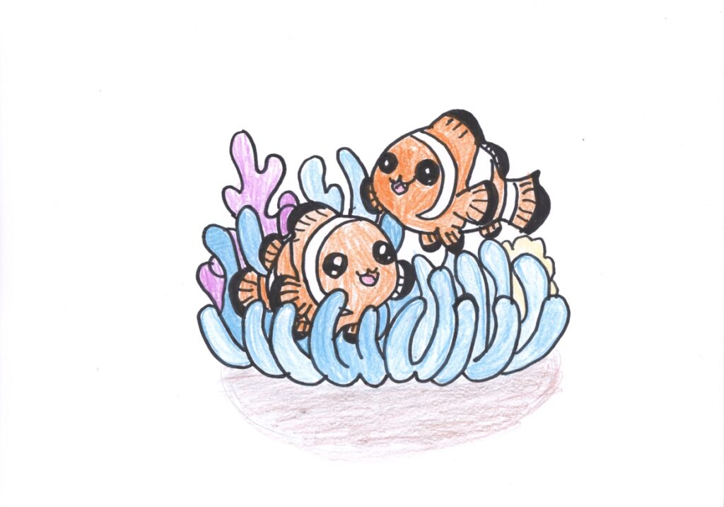 カクレクマノミ