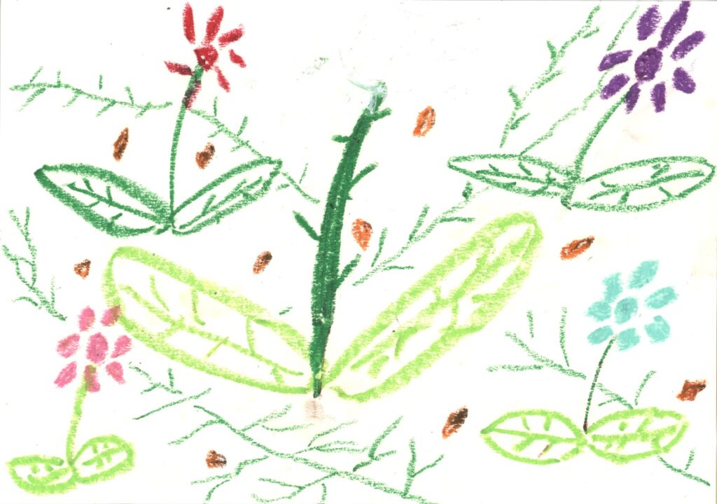花畑