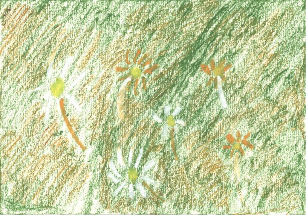 夏の花
