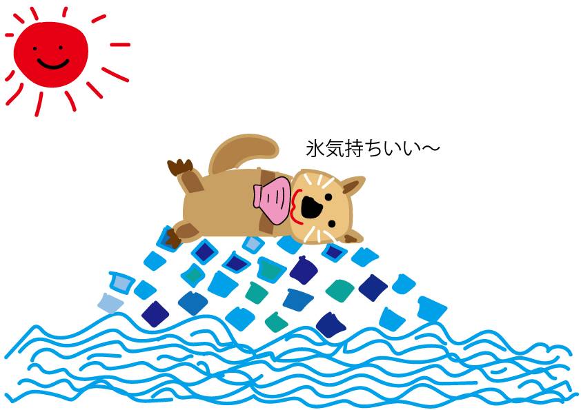 氷気持ちいい