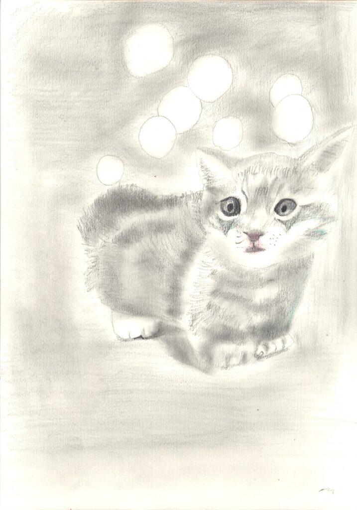 マンチカンの子猫