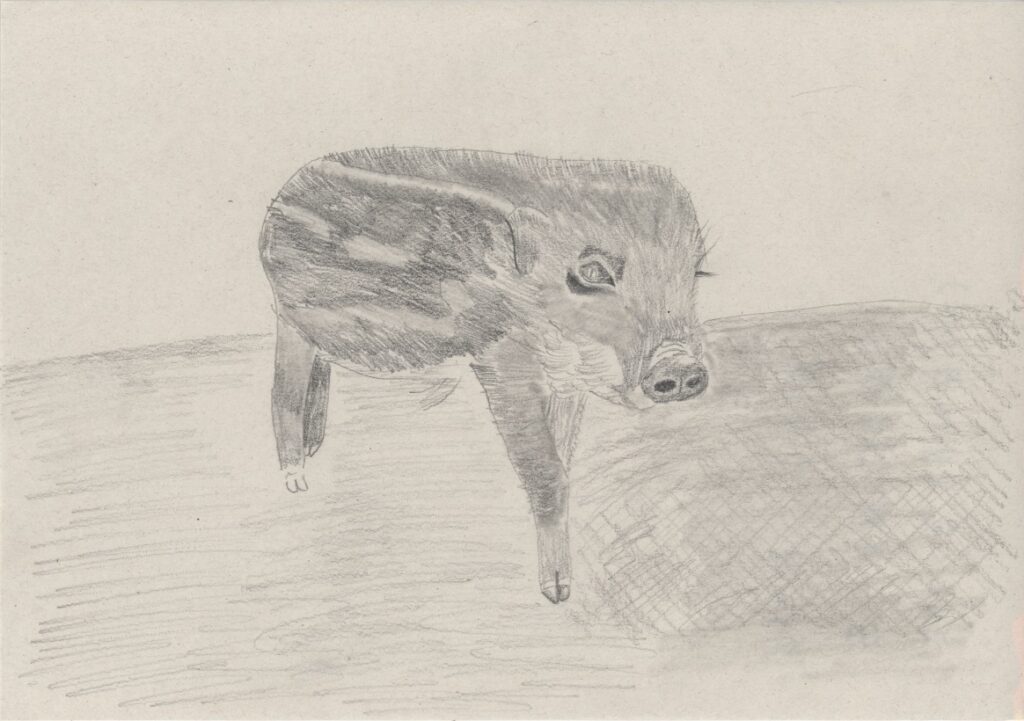 ウリ坊