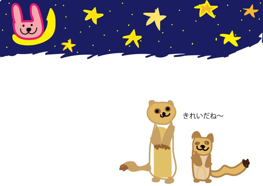 ミーアキャット