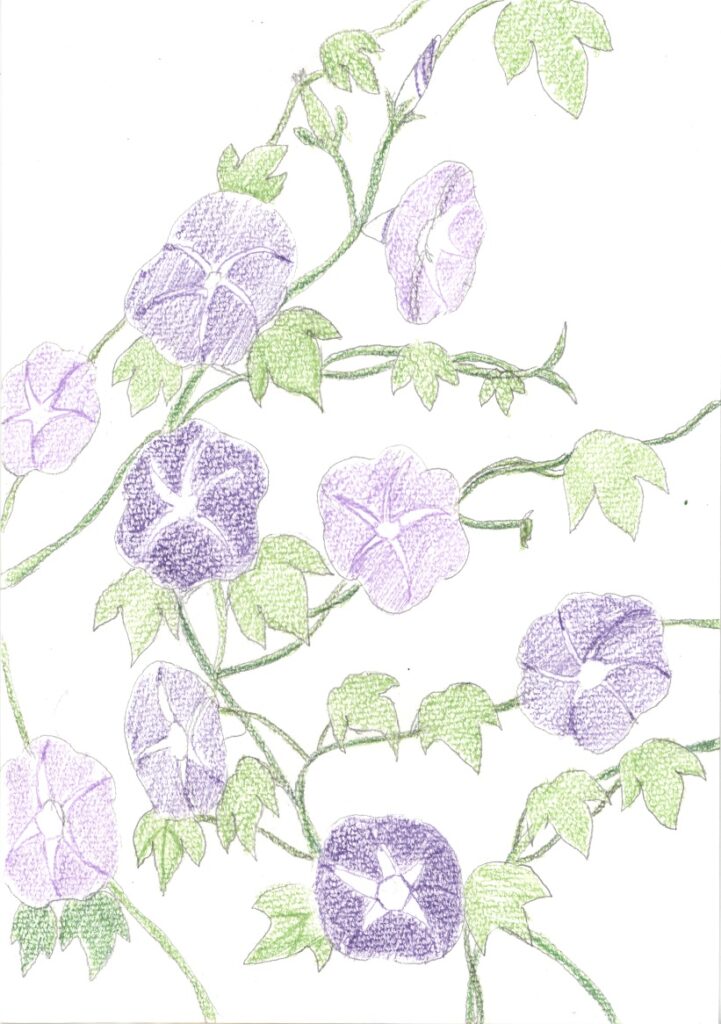 作品
