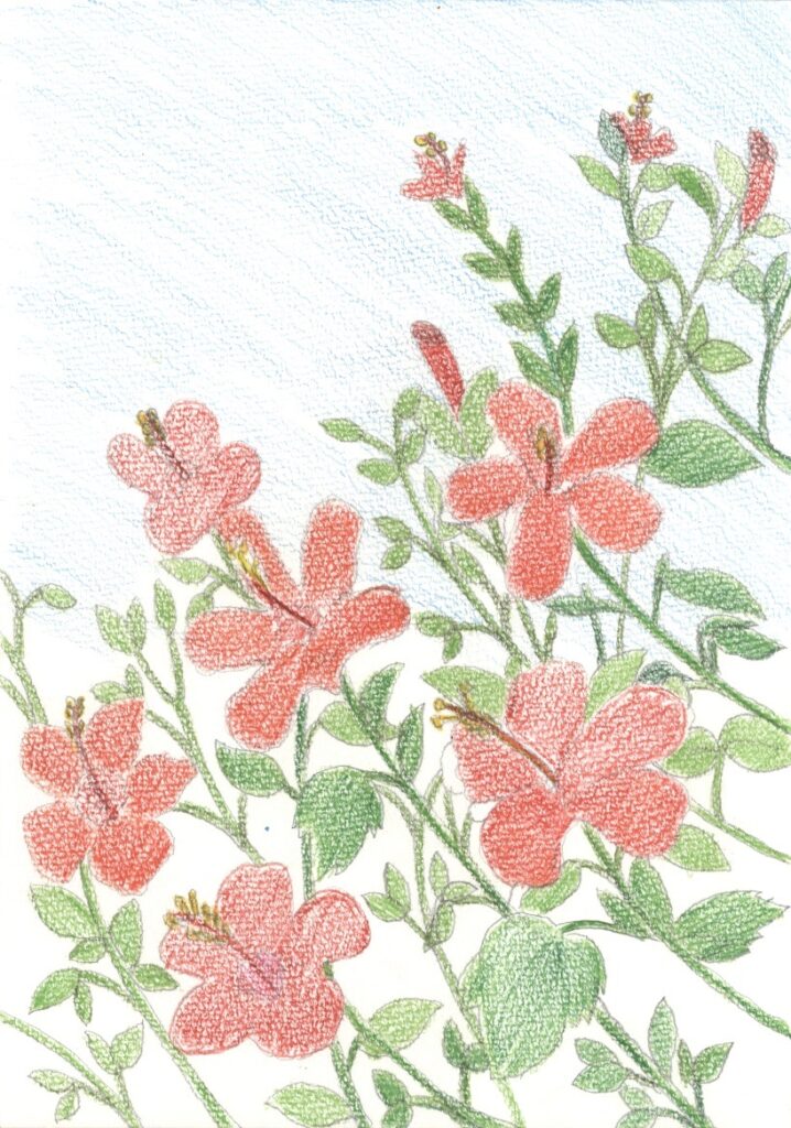 作品