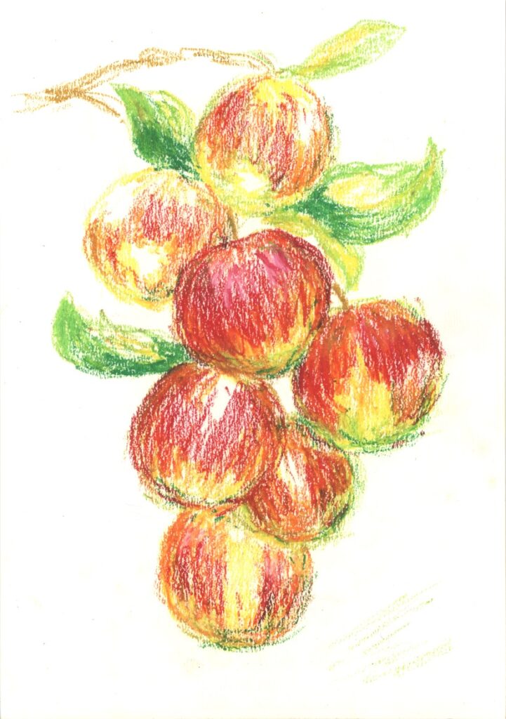 作品