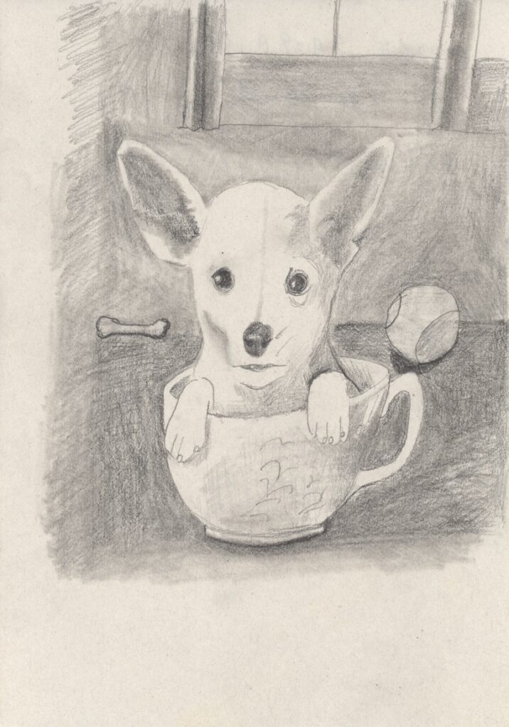 ティーカップちわわ