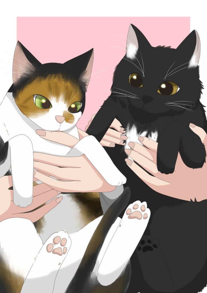 もぐとふく